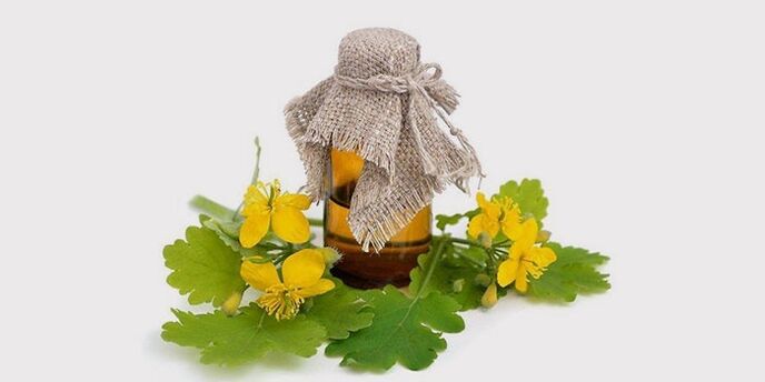 calendula oil for foot fungus